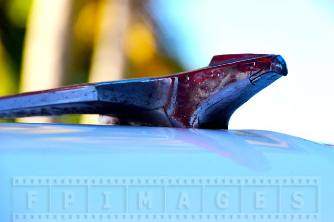 Old car front badge - chrome eagle