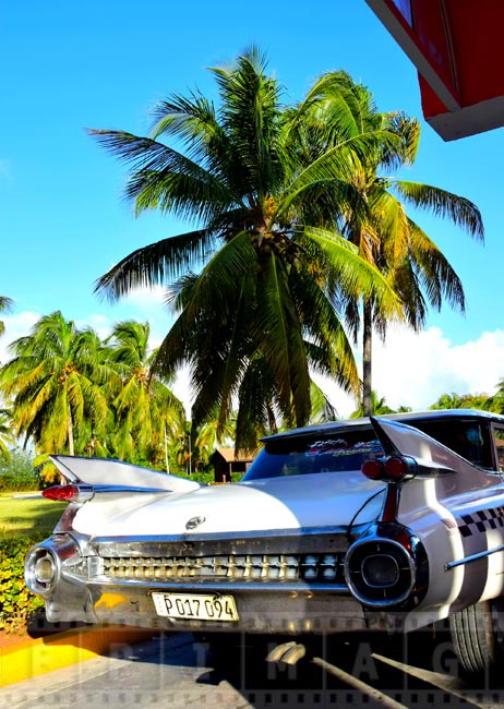 Old Cadillac Eldorado in a beautiful tropical setting