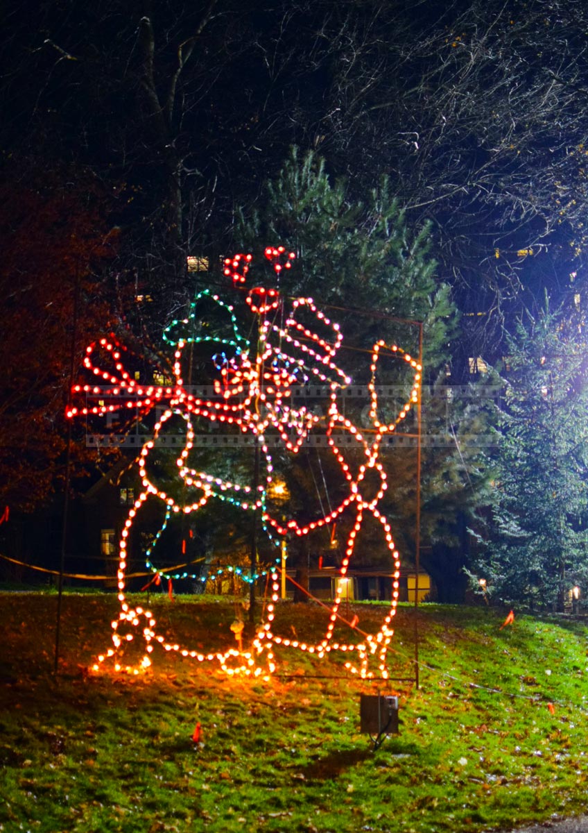 Albany Christmas lights display