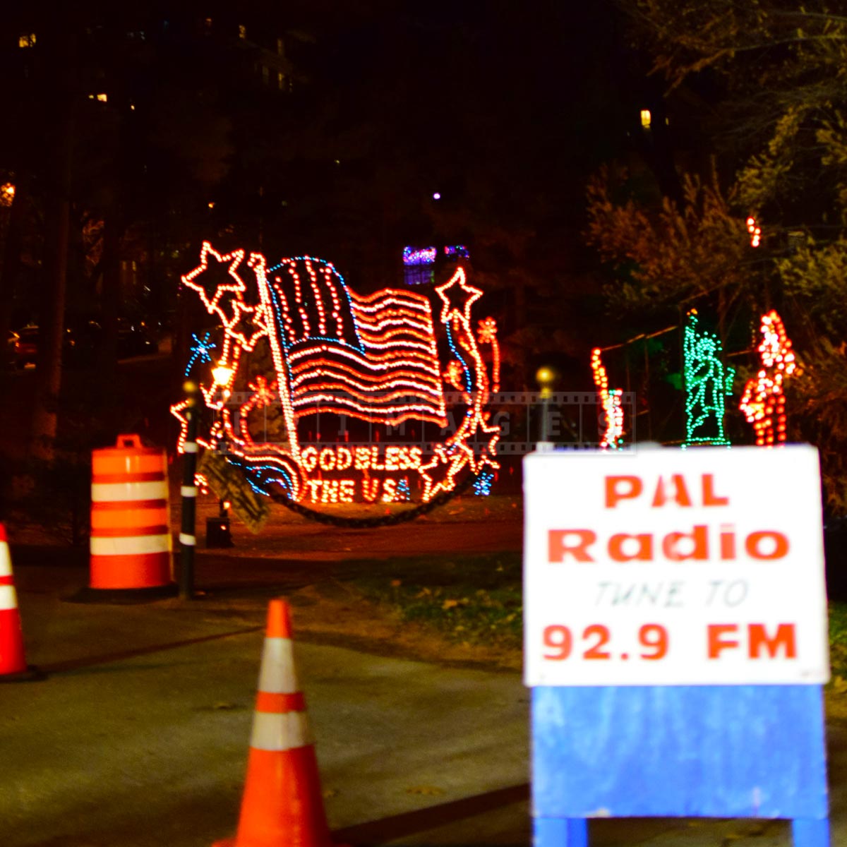 Albany, NY Holiday Lights in the Park is a great Christmas trip idea