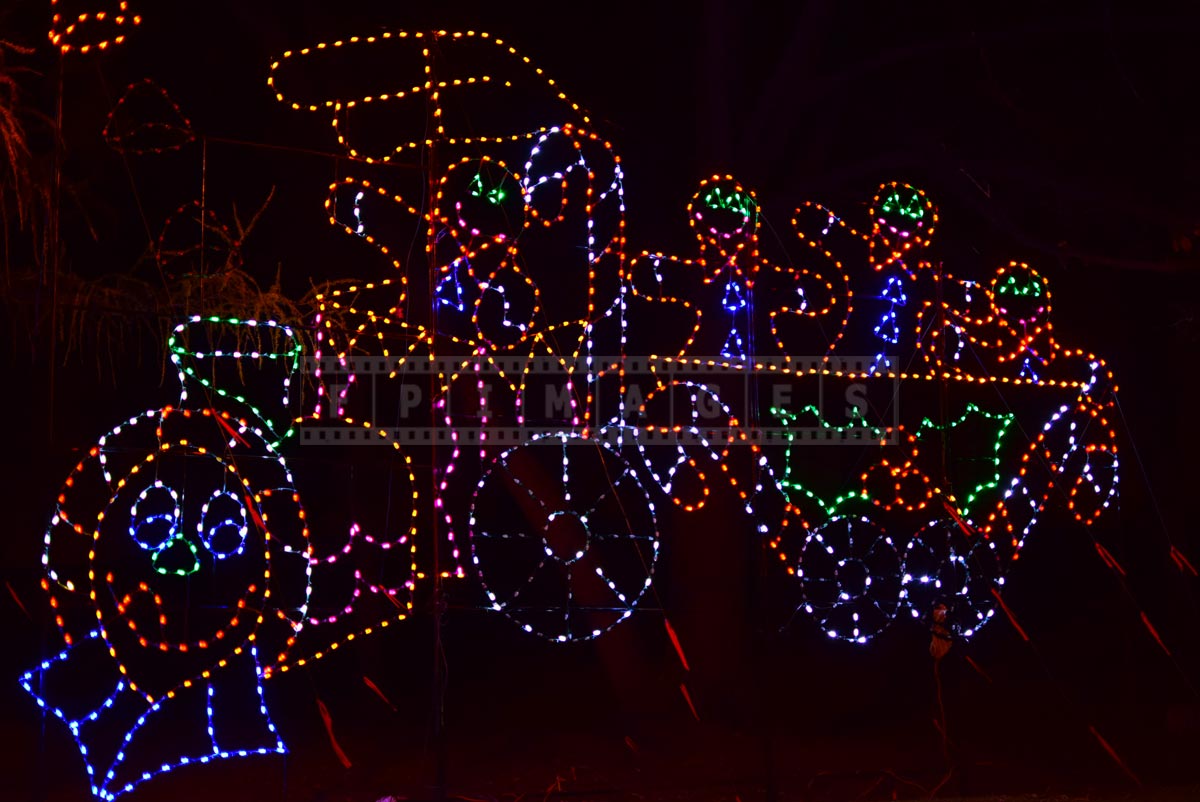 Albany, NY Christmas Lights display
