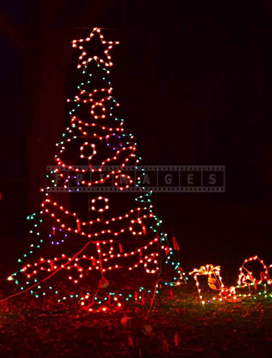 Albany, NY Christmas Tree made with Lights