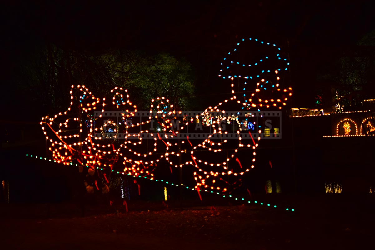 Mohter duck and ducklings Christmas lights