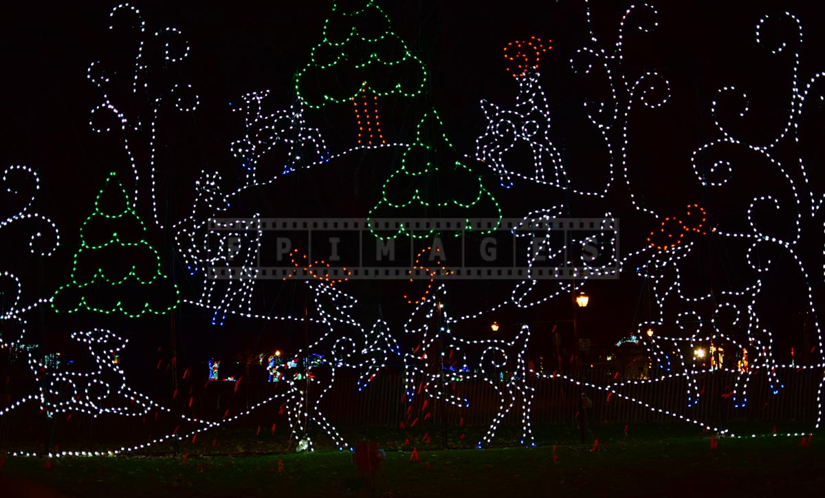 Reindeer xmas lights