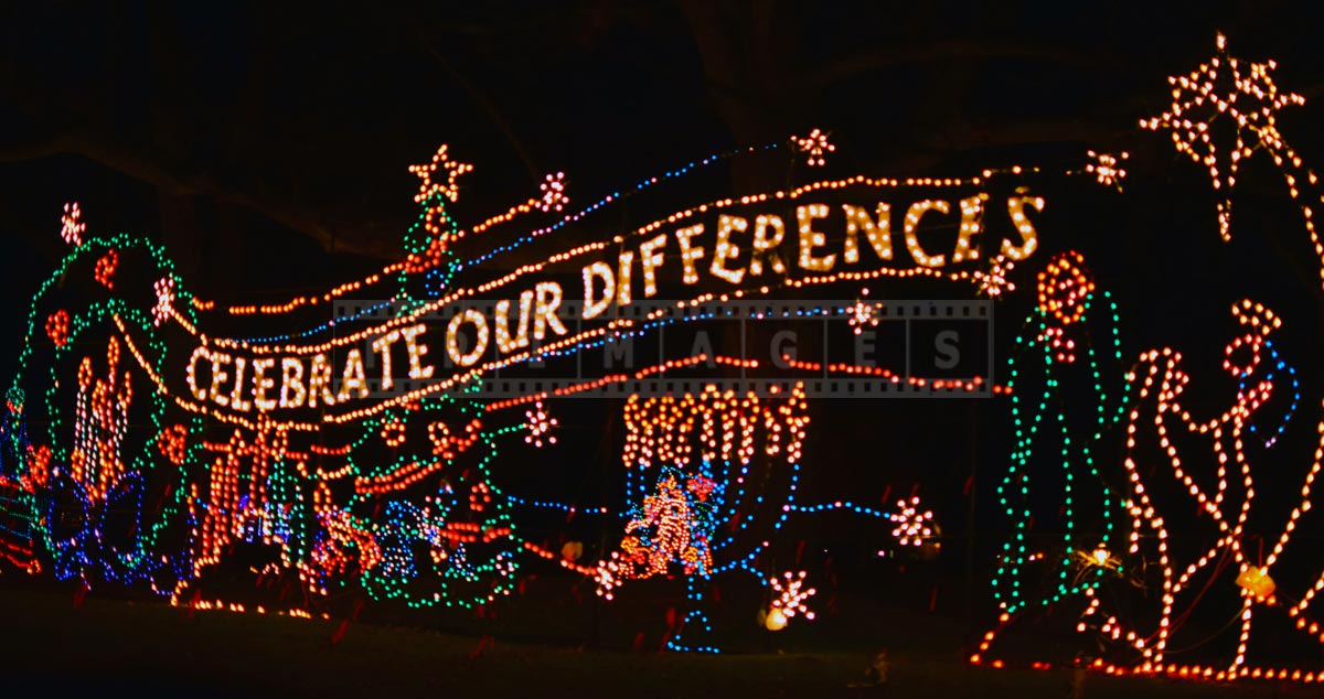 Celebrate our differences - holiday season xmas lights message