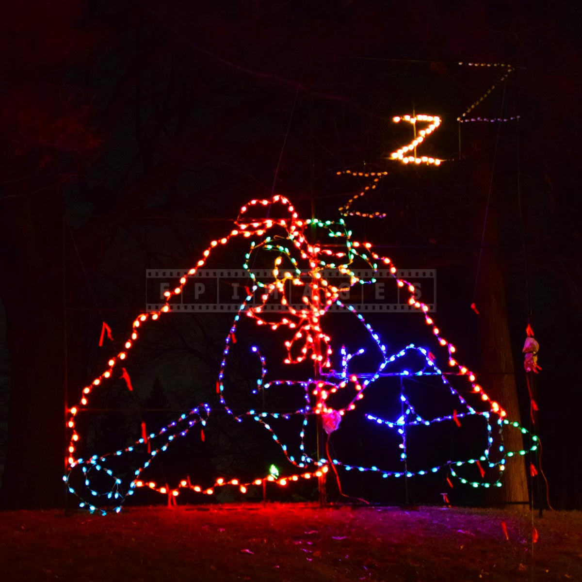 Enjoy Christmas lights in Washington Park, great thing to do in Albany, NY