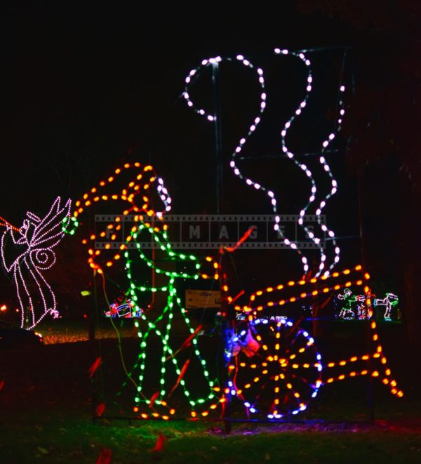 Enjoy Christmas lights in Washington Park, great thing to do in Albany, NY