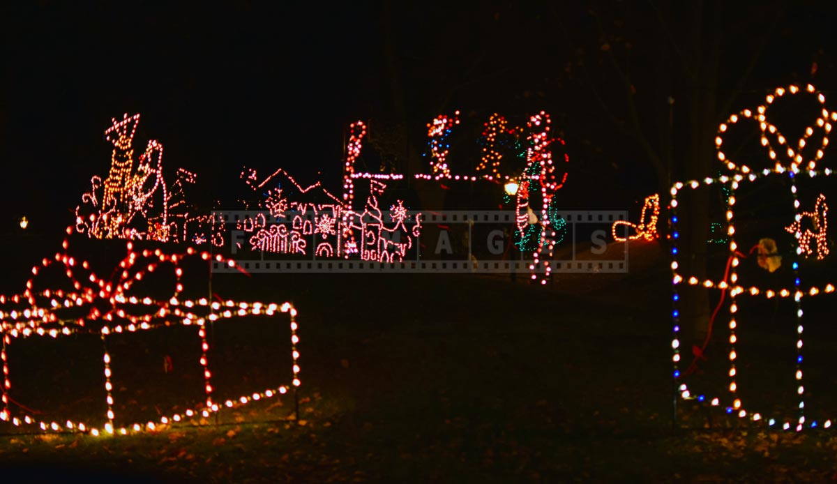 Christmas lights at Washington park Albany, NY