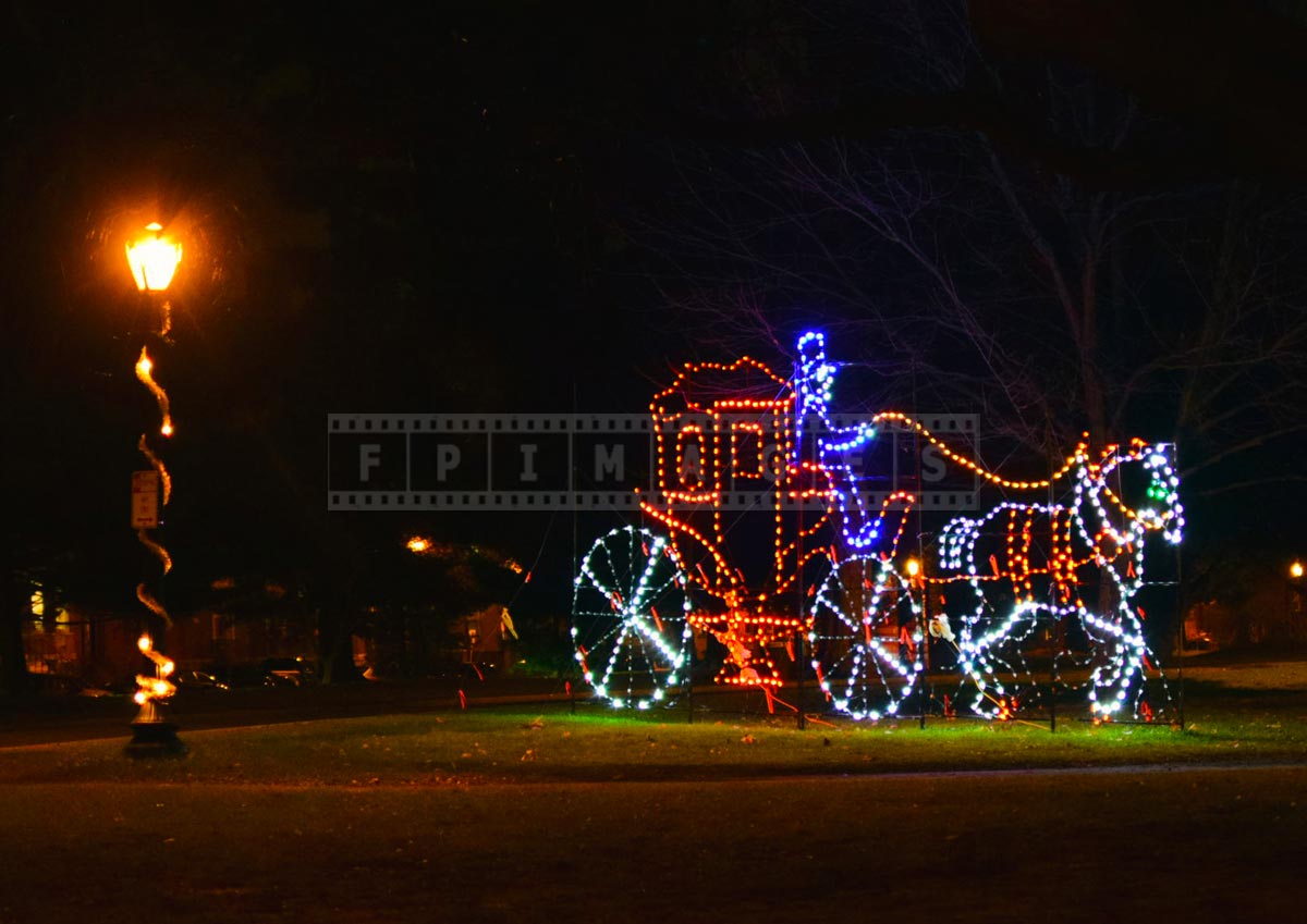 Romantic night scene from holiday lights in the park