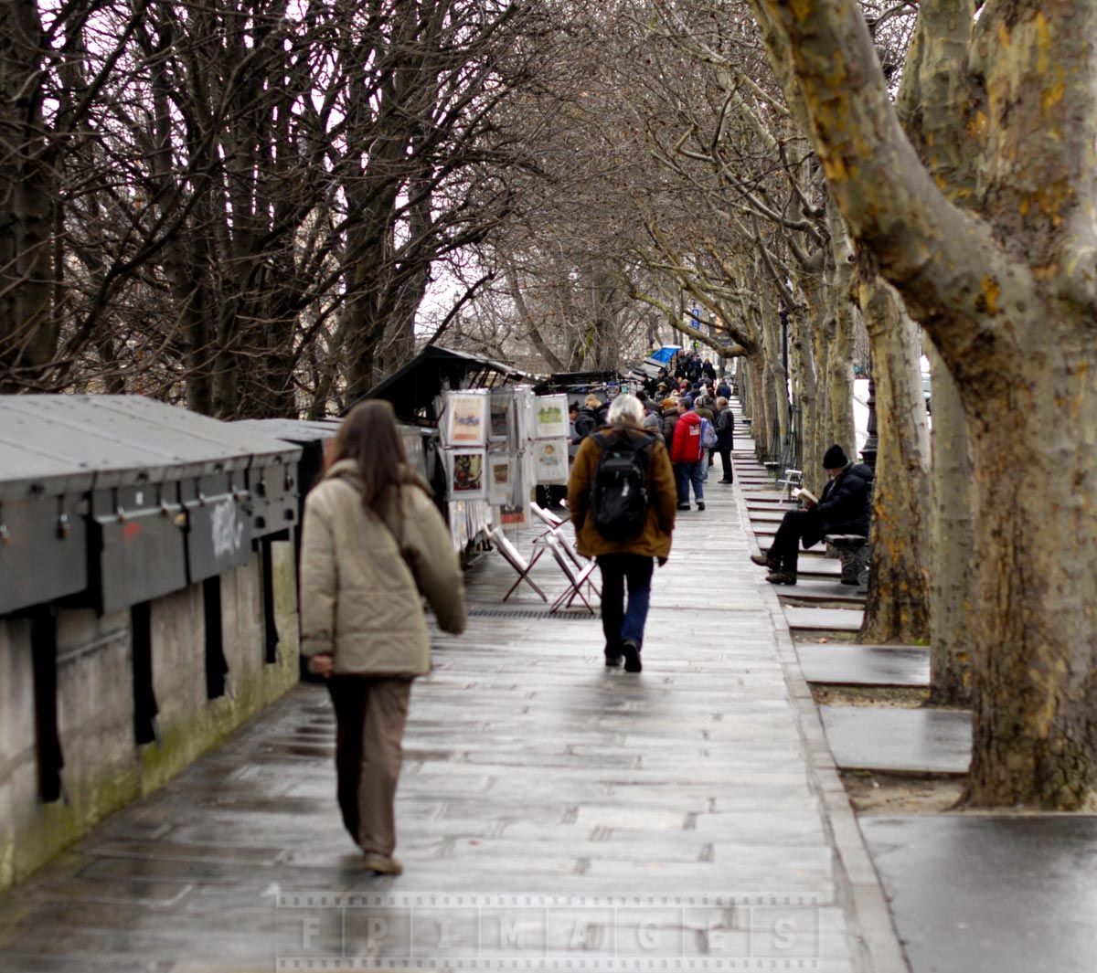 Charming walk by the Seine along antique booksellers