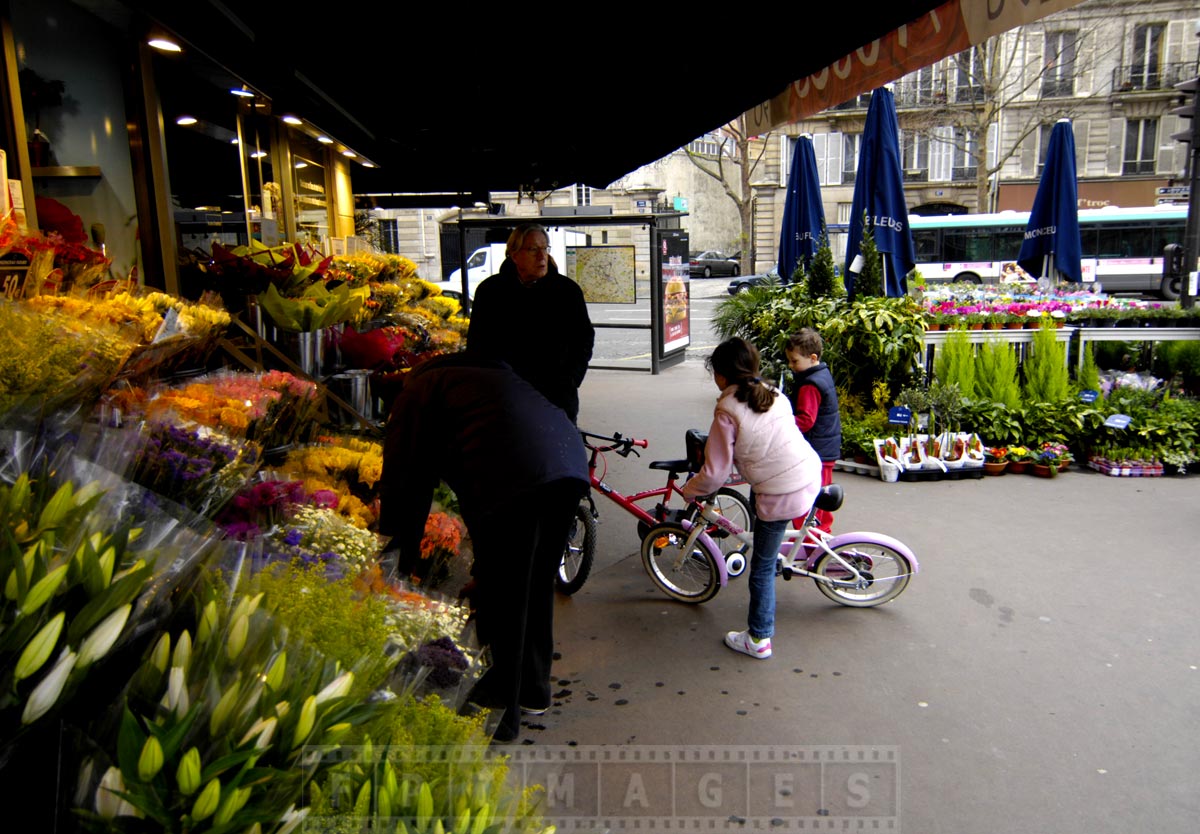 Fresh flower shop in Paris