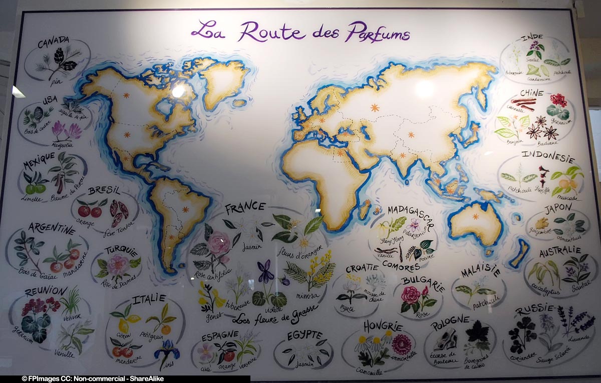 Origins of scents and plants at Fragonard museum