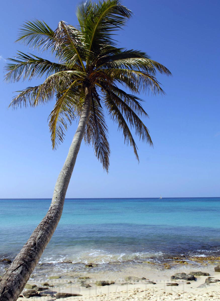 Picture perfect tropical scene from unspoiled beaches near Catalonia Gran Dominicus Resort