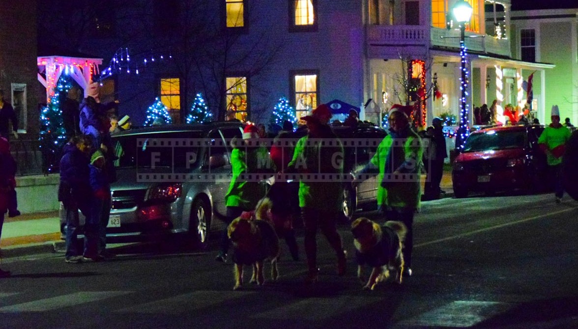 Dogs dressed up for Christmas parade