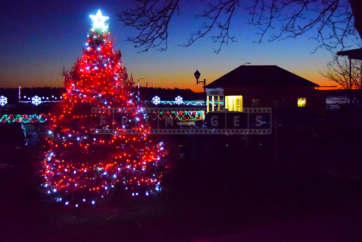 Saint Andrews waterfront sunset colors and Christmas-tree