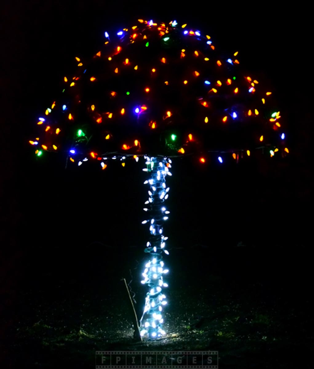 Colorful mushroom with LED Xmas lights at Garden of light in Saint Andrews, NB, Canada