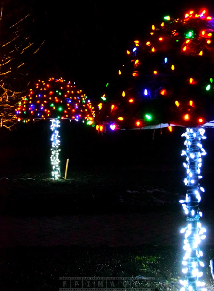 Colorful mushroom with LED Xmas lights at Garden of light in Saint Andrews, NB, Canada