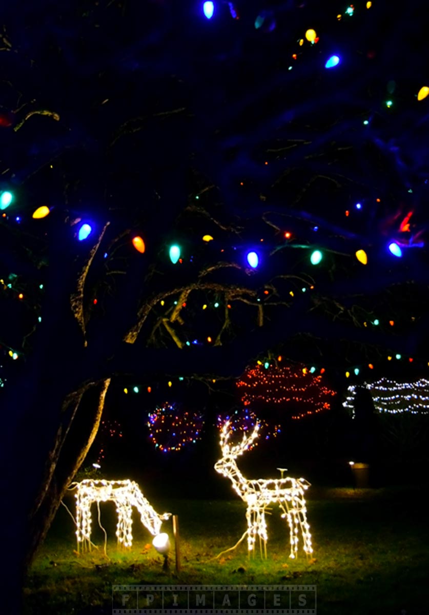 Xmas lights outdoor decorations saint andrews canada