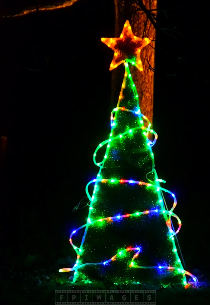 Christmas tree - Kingsbrae Garden 