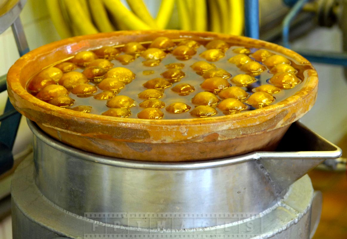 Clementines being candied in the sugar syrup