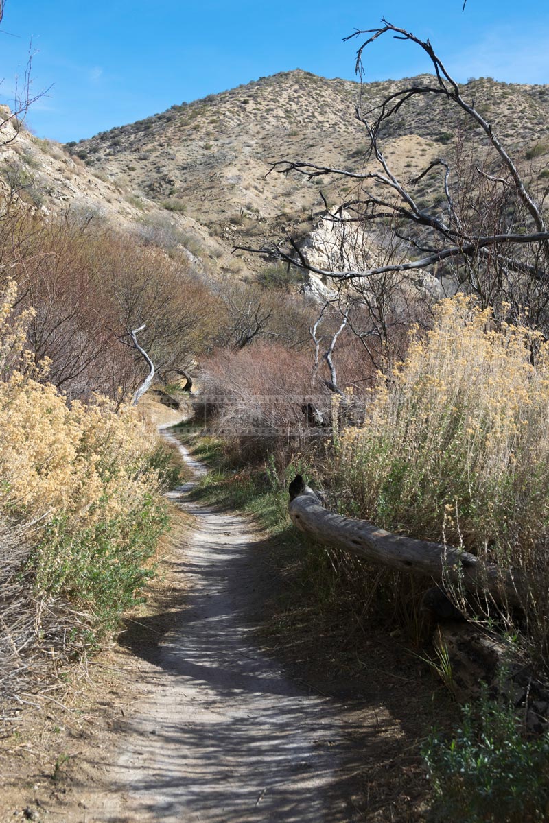 Hiking path at the nature preserve