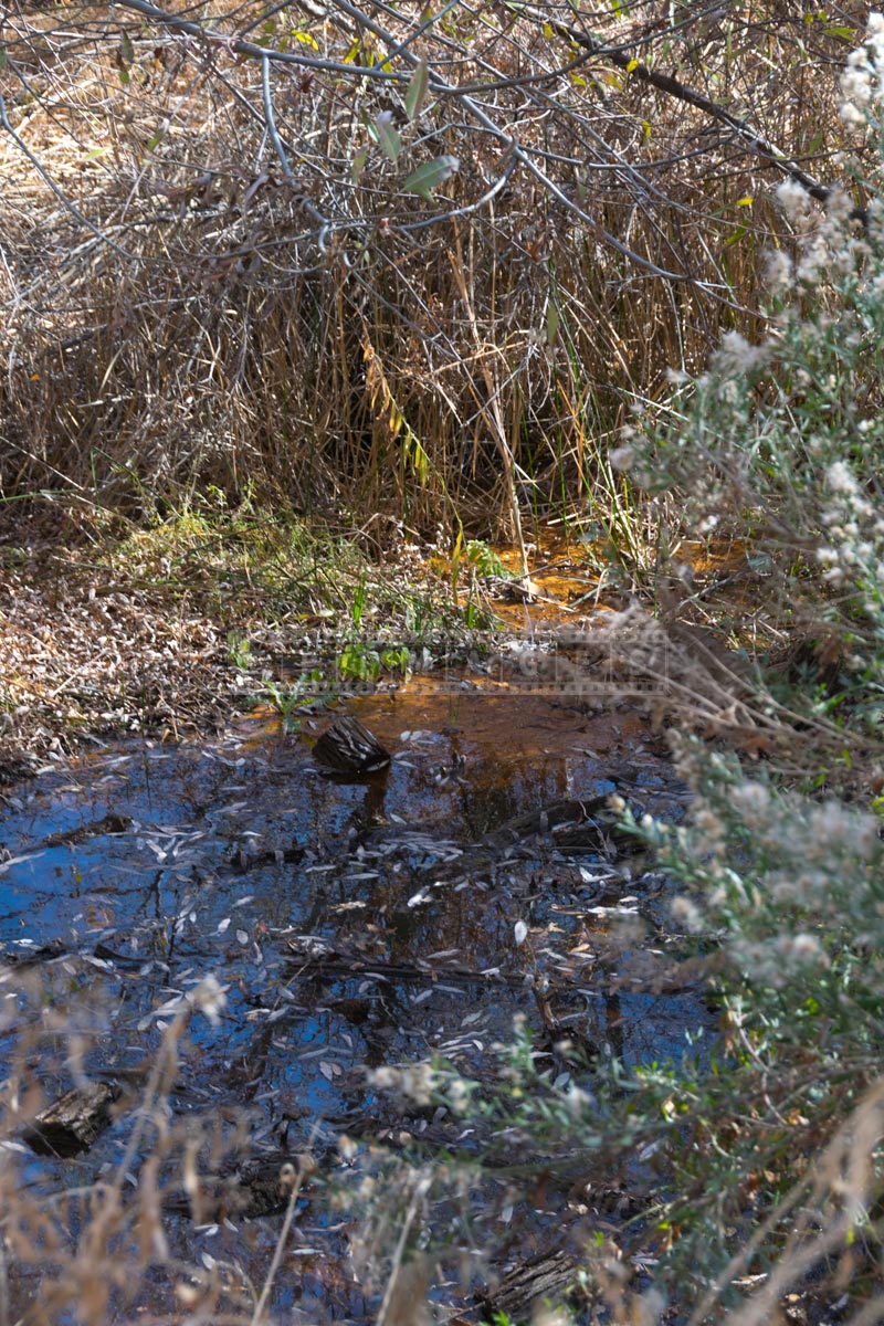 Water feature in the canyon