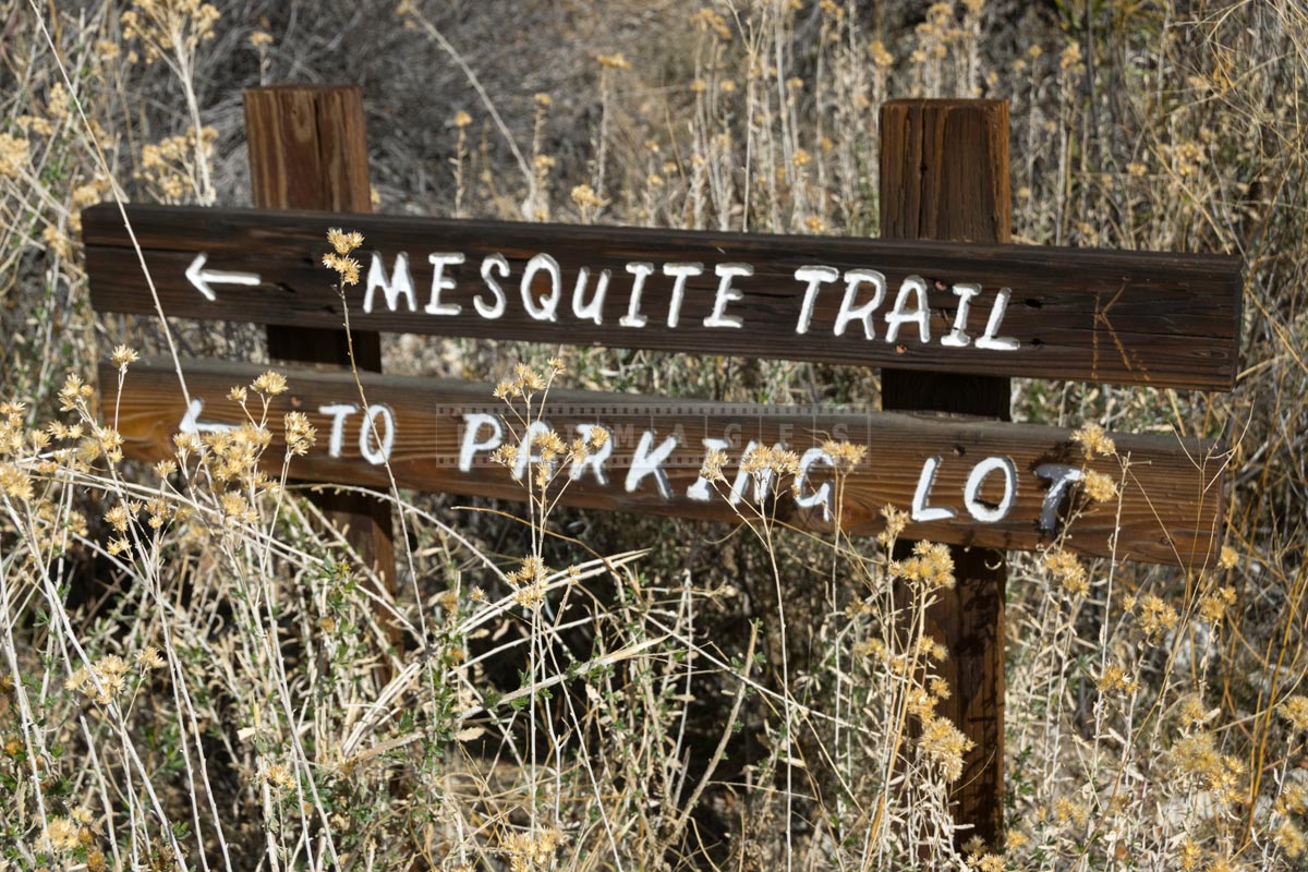 Wooden sign for Mesquite trail