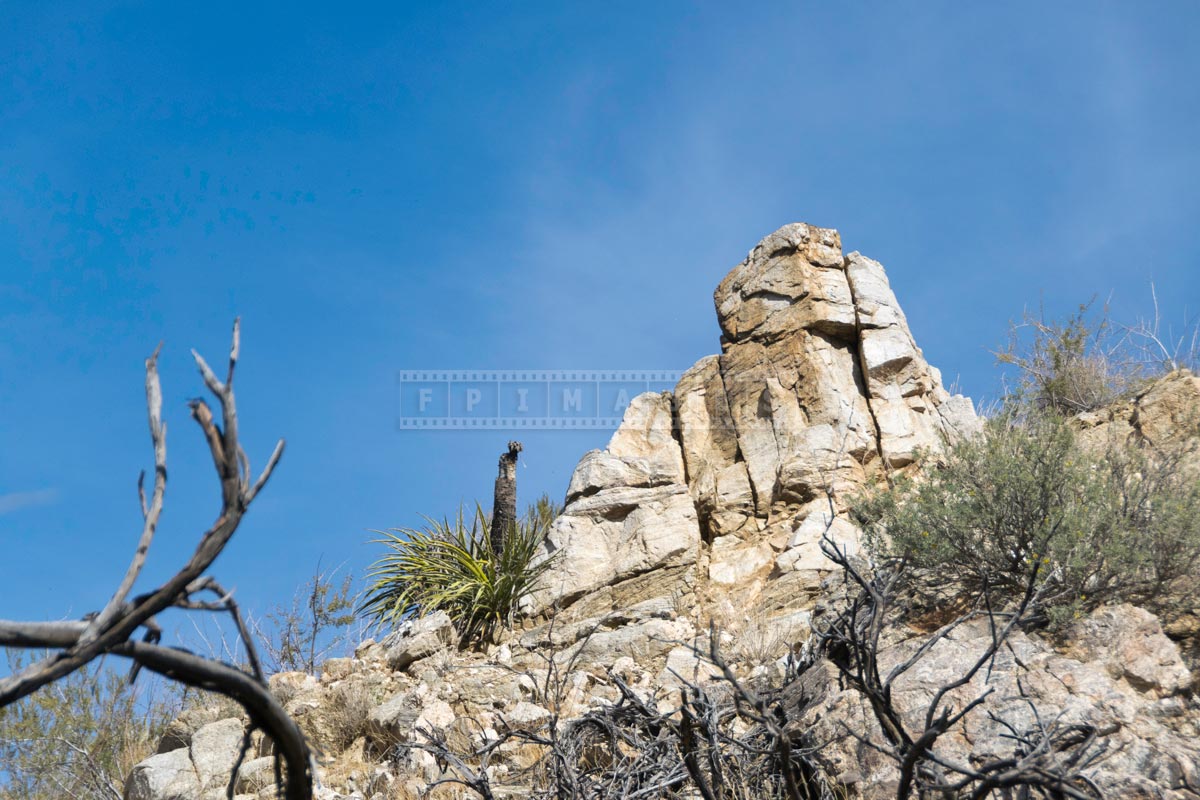 Rocks towering above the hike