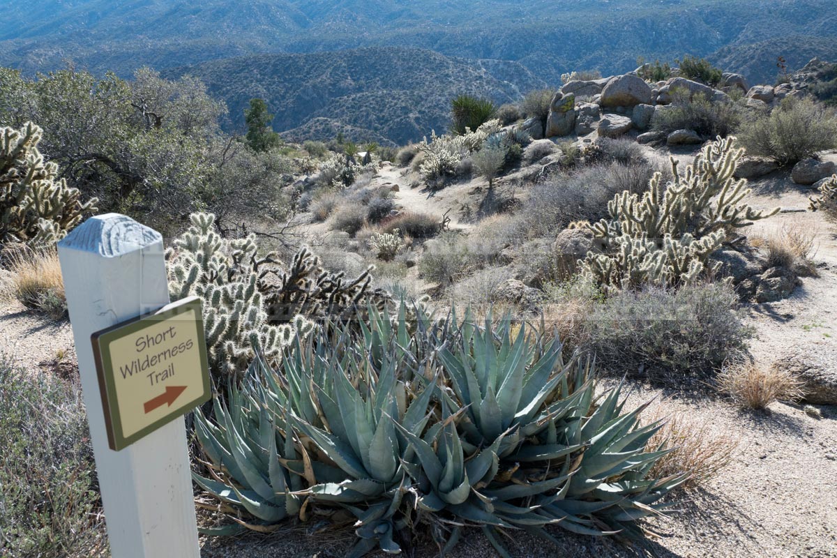 Cahuilla Tewanet Vista Point at highway 74