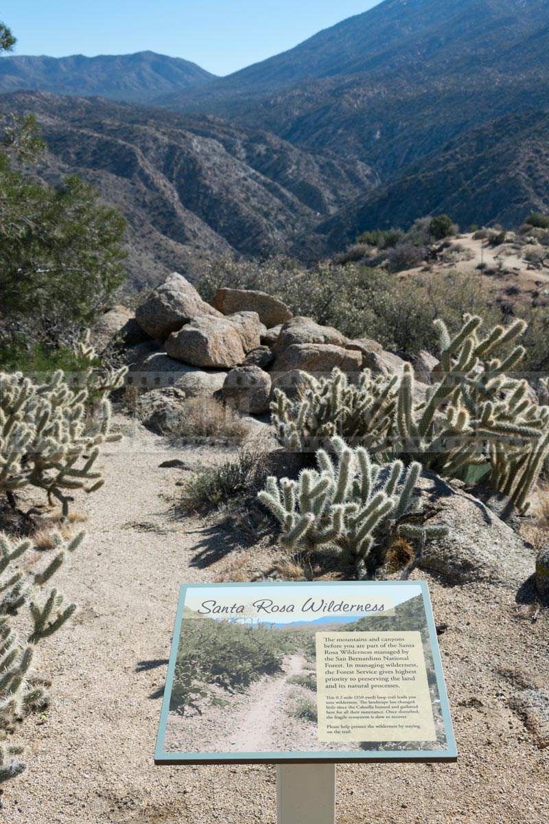 Display about Santa Rosa wilderness