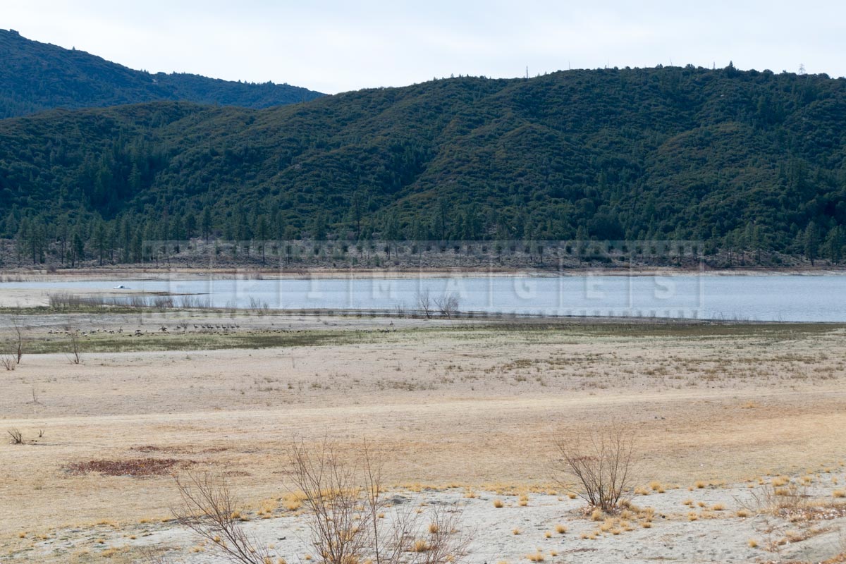 Shores of lake Hemet