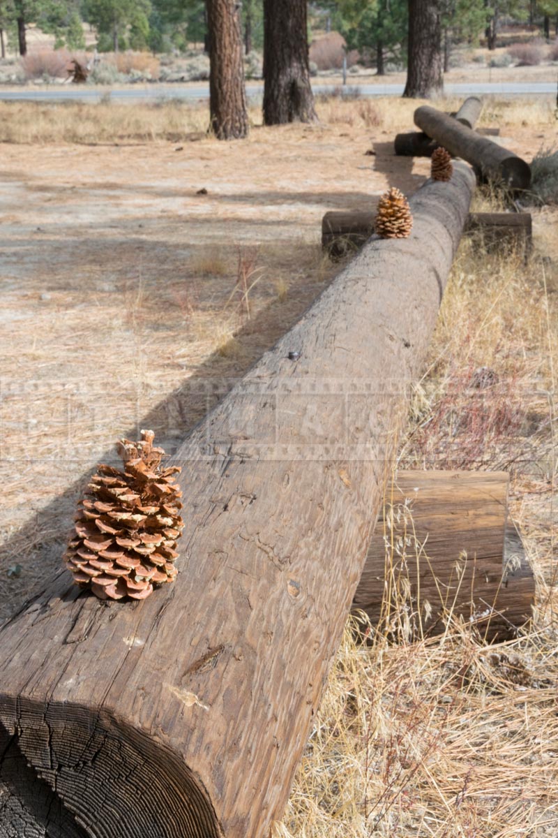 Logs marking parking lot of Ramona trail