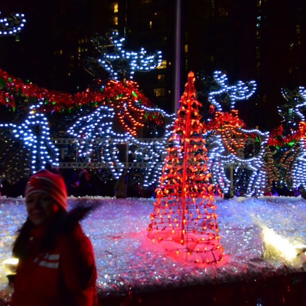 Halifax Parade of Lights is an exciting event held every November