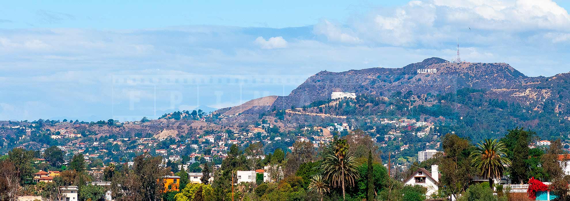 View from Elysian park at Hollywood Hills