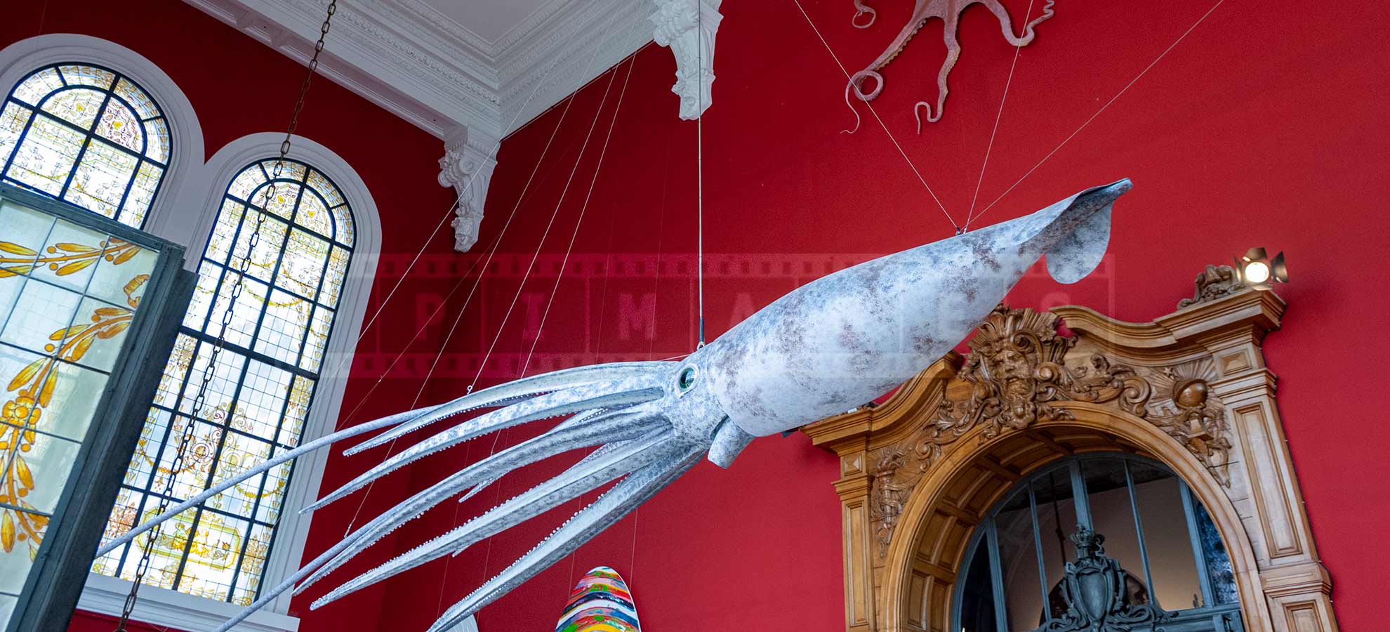 Giant squid model hanging from the ceiling at the museum