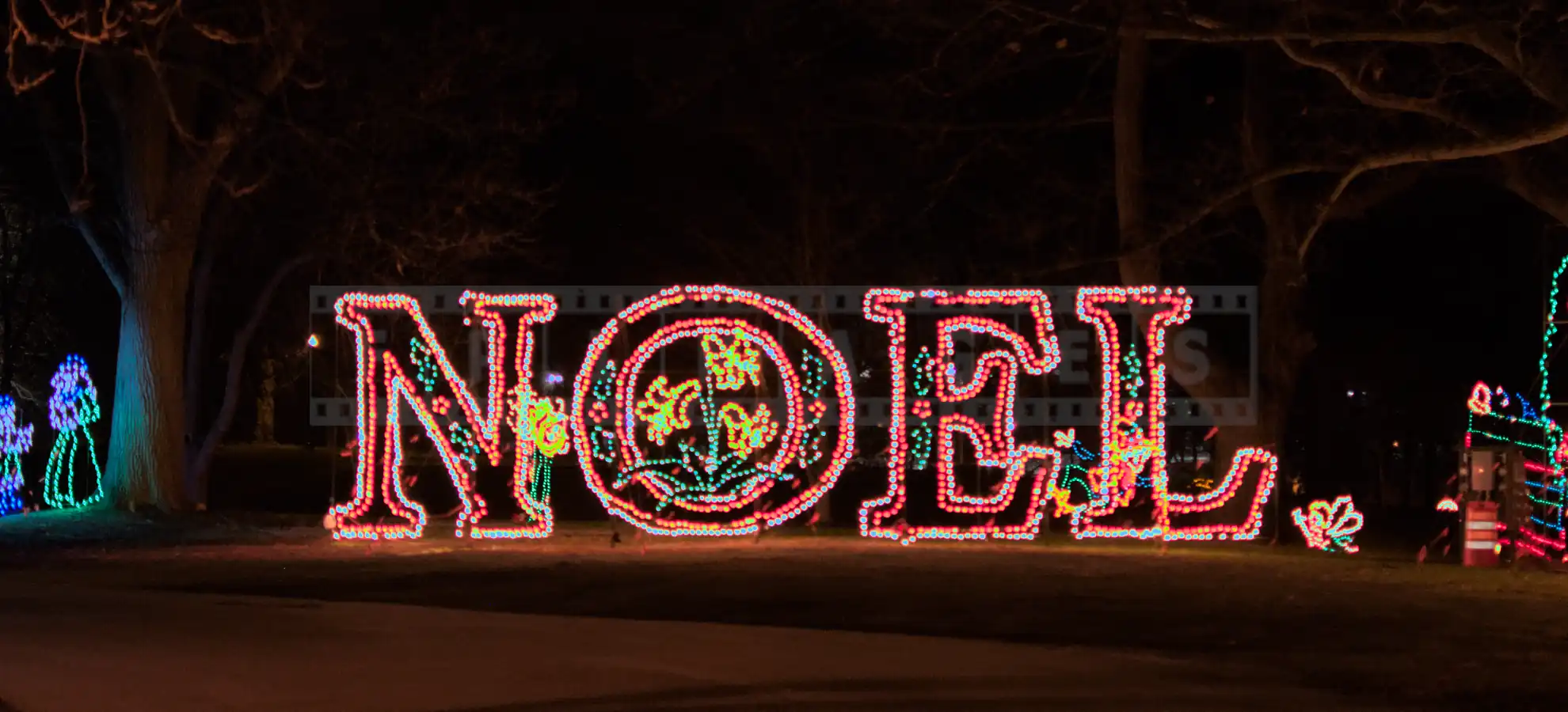 Beautiful xmas lights Noel sign in Albany, NY