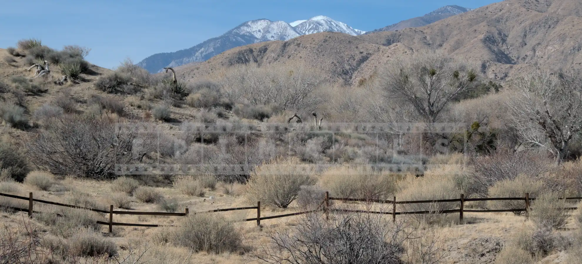 High desert landscape and snow covered mountains at Morongo Preserve
