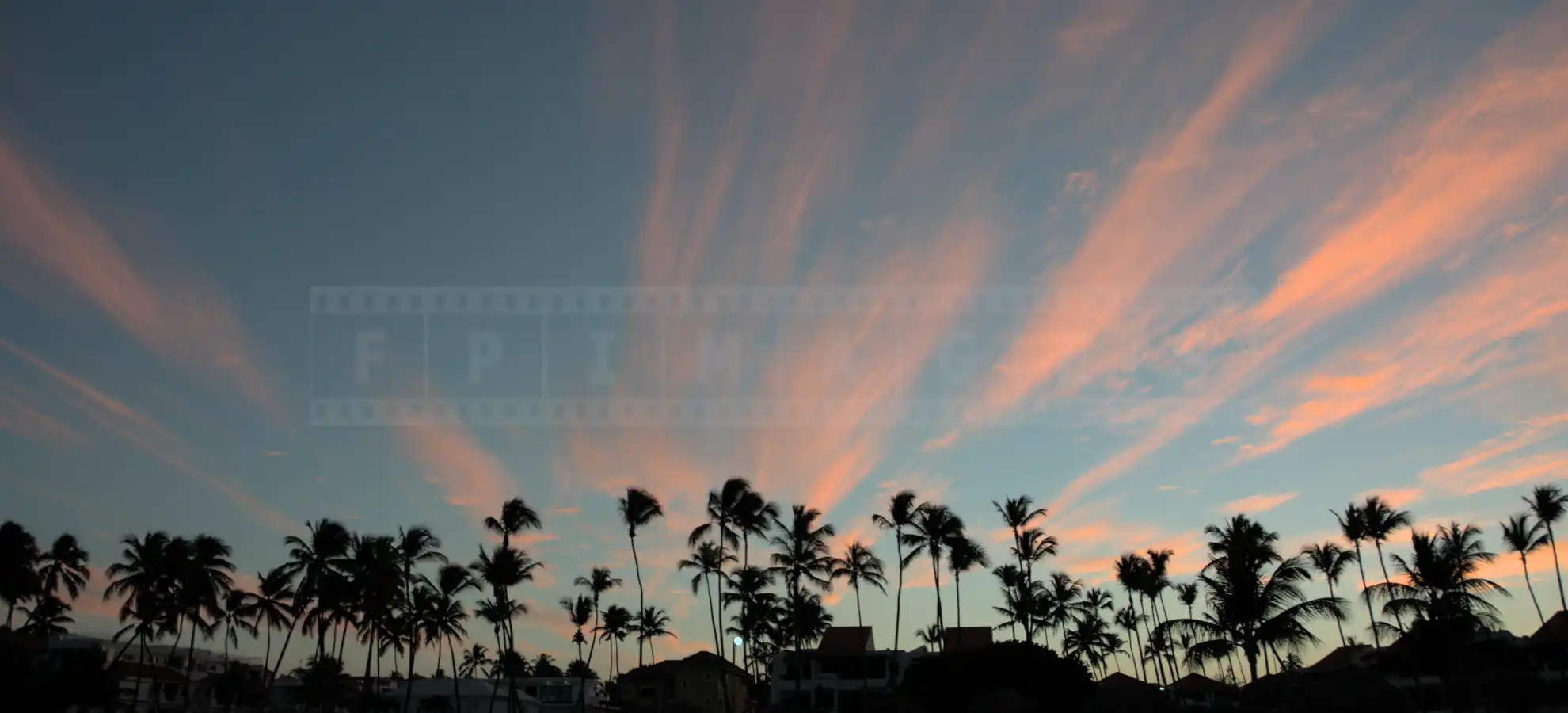 Beautiful clouds and palm trees at the beach