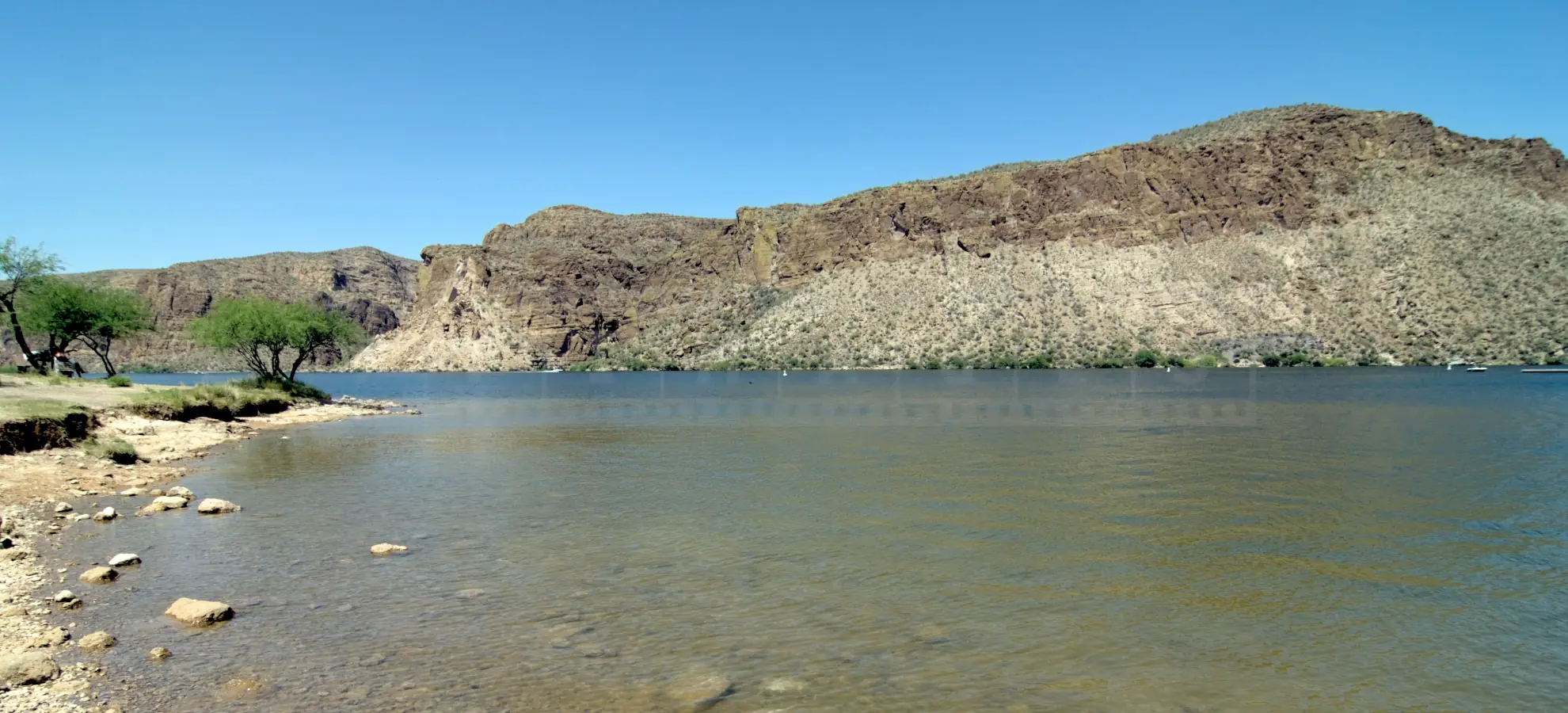 Shore of the Salt River Reservoir with mesquite trees