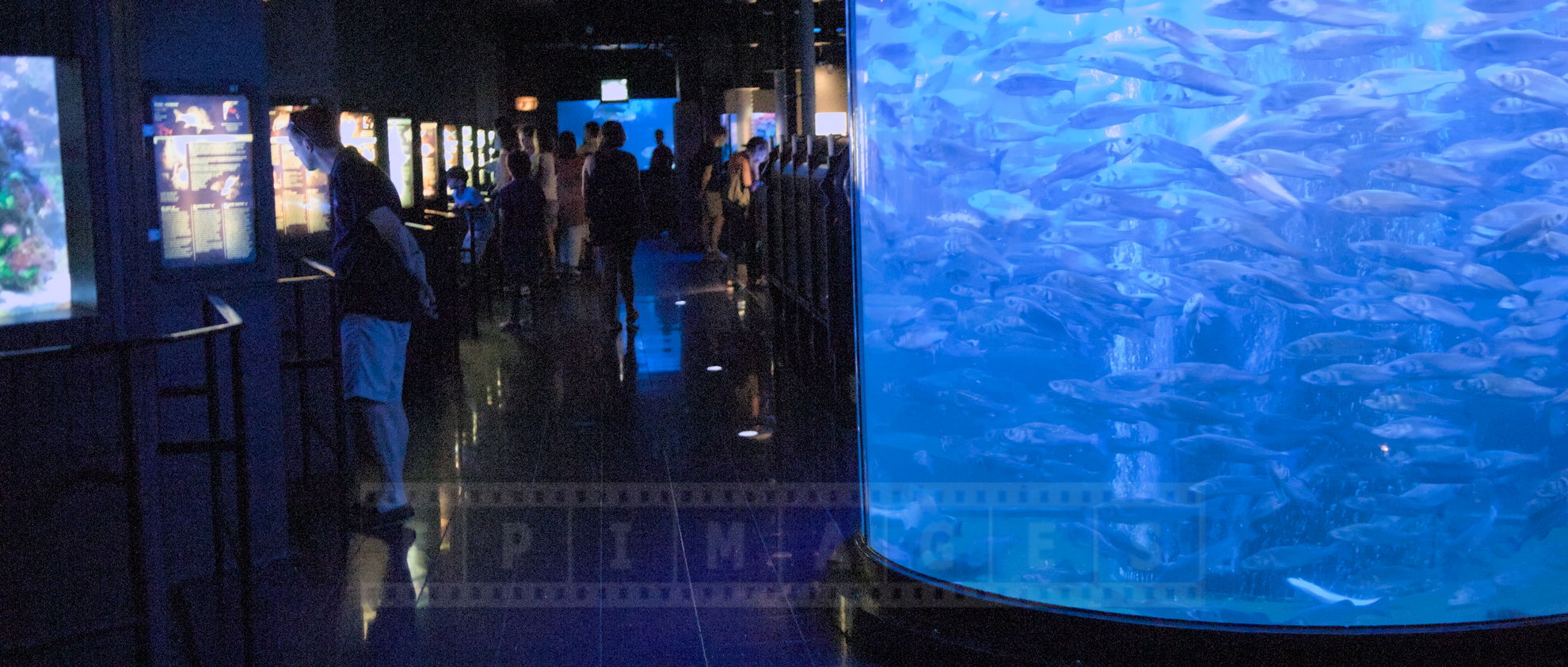 Inside Monaco Aquarium at Oceanographic Museum of Monaco